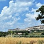 pexels-magali-guimaraes-3411930-5784765