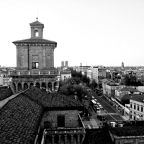 pexels-saponasan-6196047