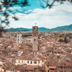 pexels-sliceisop-2277435